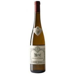 Wein Albariño von Fefiñanes 2021.