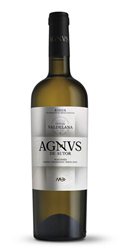 'Weißwein Agnvs Malvasía'