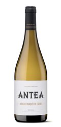 'Vino Blanco Antea Marqués de Cáceres'