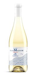 'Vino Blanco Maremagnvm'