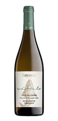 'Vino Blanco Sabalo Ecologico '
