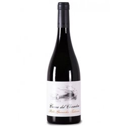 Cave of the Shaman 2021 wine