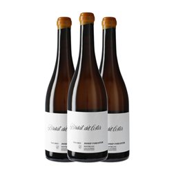Vino Naranja Josep Foraster Coster Macabeo Conca de Barberà Brisat — Brisado Eco — Ecológico 75 cl Vino Naranja (Caja de 3 unidades)