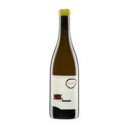 Vino Naranja Judith Beck Bambule Welschriesling Burgenland 75 cl Vino Naranja