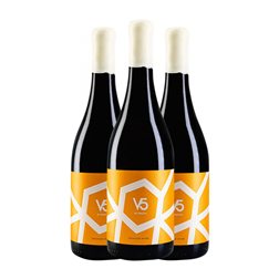 Vino Naranja Vinícola de Valdepeñas V5 by Concejal Macabeo Seco Vino de la Tierra de Castilla 75 cl Vino Naranja (Caja de 3 unidades)