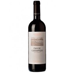 WINE PAGO CAPELLANES OAK 75 CL