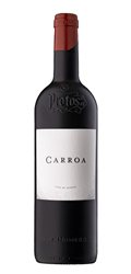 'Vino Tinto Protos Carroa'