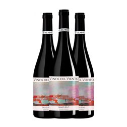 Vinos del Viento Mazuelo Campo de Borja 75 cl Vino Tinto (Caja de 3 unidades)