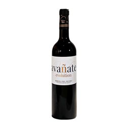 Vinum Vitae Avañate Evolution Tempranillo Seco Ribera del Duero 75 cl Vino Tinto