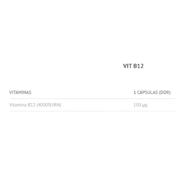 Vitamin B12 100 Mcg 100 Caps-detalle