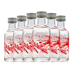 Vodka Absolut Botellín Miniatura 5 cl Raspberry — Frambuesa (Caja de 6 unidades)