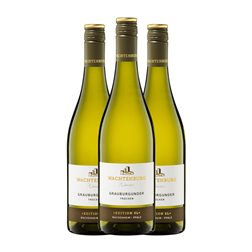 Wachtenburg Winzer Lese Pinot Gris Trocken — Seco Pfälz Selección, Edición Limitada 75 cl Vino Blanco (Caja de 3 unidades)