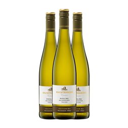 Wachtenburg Winzer Lese Riesling Trocken — Seco Pfälz Selección, Edición Limitada 75 cl Vino Blanco (Caja de 3 unidades)