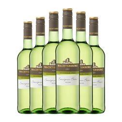Wachtenburg Winzer Sauvignon Trocken — Seco Pfälz 75 cl Vino Blanco (Caja de 6 unidades)