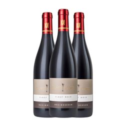 Wagner-Stempel Pinot Negro Rheinhessen 75 cl Vino Tinto (Caja de 3 unidades)