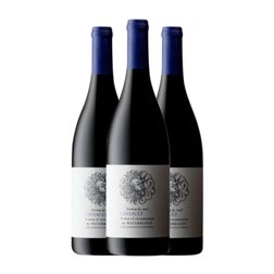 Waterkloof Seriously Cool Cinsault Stellenbosch Eco — Ecológico 75 cl Vino Tinto (Caja de 3 unidades)