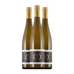Weingut Tina Pfaffmann Ü40 Riesling Trocken — Seco Pfälz 75 cl Vino Blanco (Caja de 3 unidades)