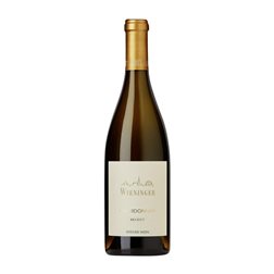 Wieninger Chardonnay Wien Selection — Selección 75 cl Vino Blanco