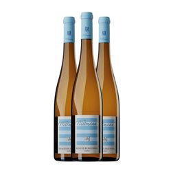 Wittmann Pinot Gris Trocken — Seco Rheinhessen 75 cl Vino Blanco (Caja de 3 unidades)
