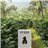 WUSH WUSH - Finalist Coffee Expo 2026