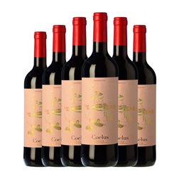 Yllera Coelus Tempranillo Rioja Crianza 75 cl Vino Tinto (Caja de 6 unidades)