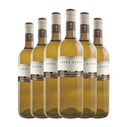 Yllera Tierra Buena Verdejo Rueda 75 cl Vino Blanco (Caja de 6 unidades)