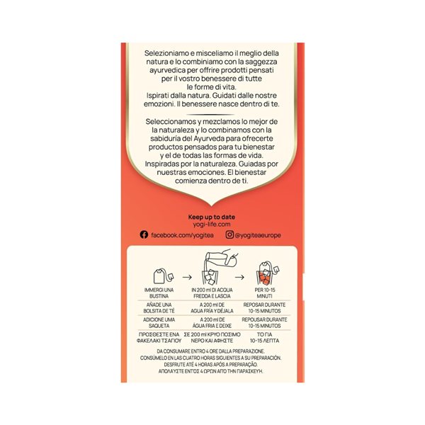 Yogi Frio Fresa y Naranja Bio 15 filtros-trasera