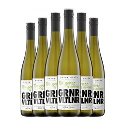 Young Poets The Grass is Always Grüner Veltliner Trocken — Seco Bio — Biológico 75 cl Vino Blanco (Caja de 6 unidades)