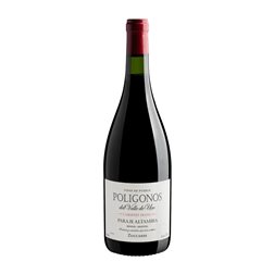 Zuccardi Poligonos Altamira Cabernet Franc Mendoza Vino de Paraje 75 cl Vino Tinto