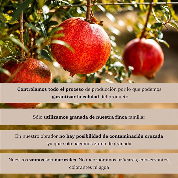 Zumo de Granada 100% Natural Variedad Kingdom | Prensado en Frío | Pack Zumo Granada Natural 6x750 ml sin Azúcar Añadido y rico en Antioxidantes | Zumo Vegano-trasera