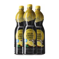 Zumo Naturera 1 L Jengibre, Limonade — Limonada (Caja de 3 unidades)