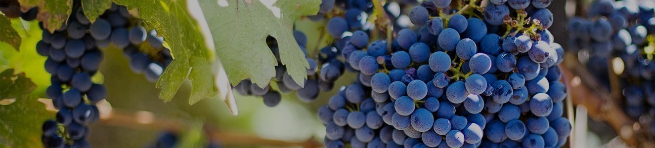 de vida vino
