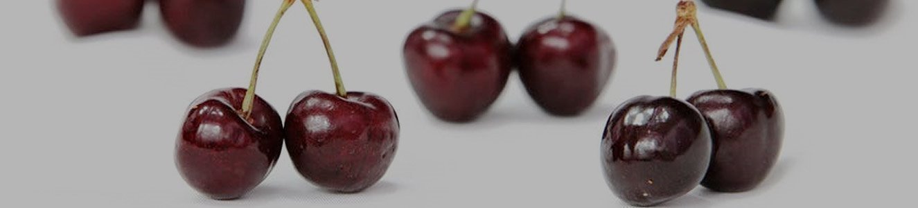 Productos del Bierzo