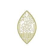 Logo for cashback partner (Pinsana)