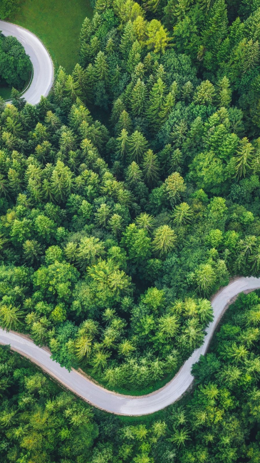 Sustainability