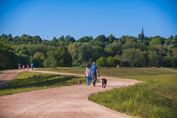 Kersal Wetlands - ideal for walking your dog Kersal Wetlands - ideal for walking your dog