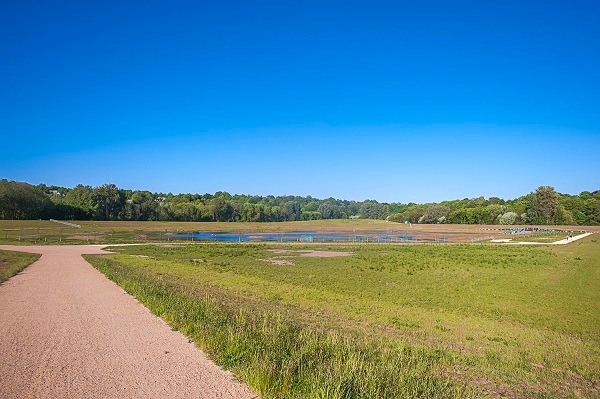 Kersal Wetlands - your new running route? Kersal Wetlands - your new running route?