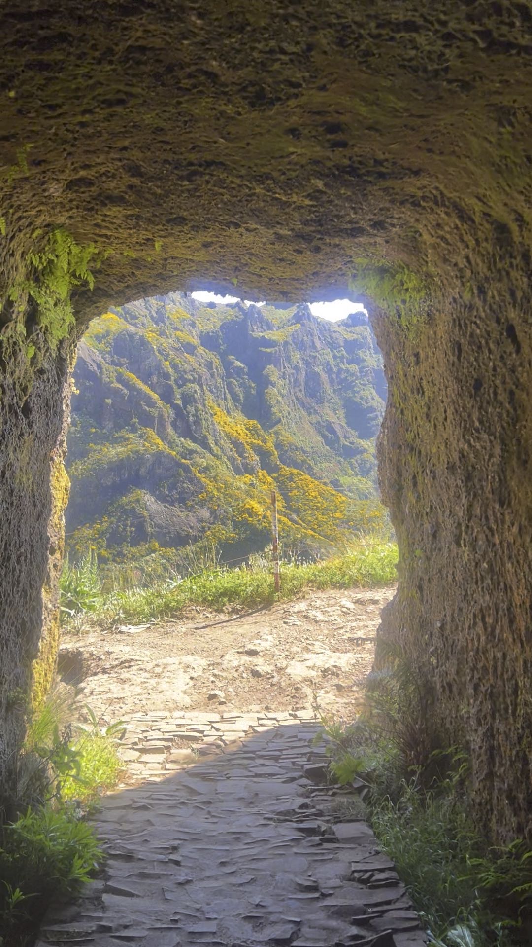 Túnel do Pico do Gato