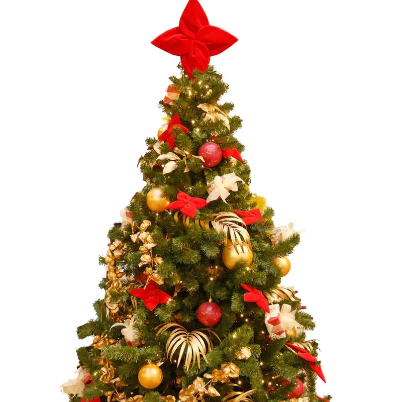 Newsletter Christmas 2025