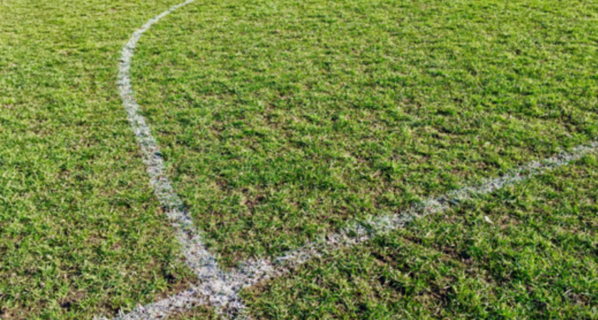 Grass Training Grid gallery image 0