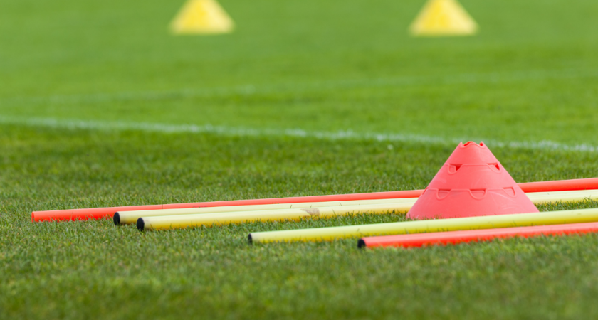 Grass Training Grid gallery image 0