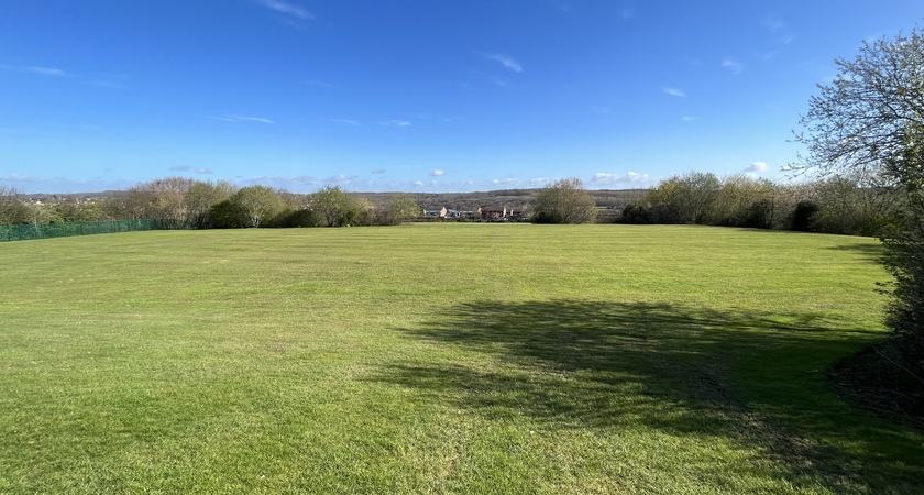 Grass - Football gallery image 0