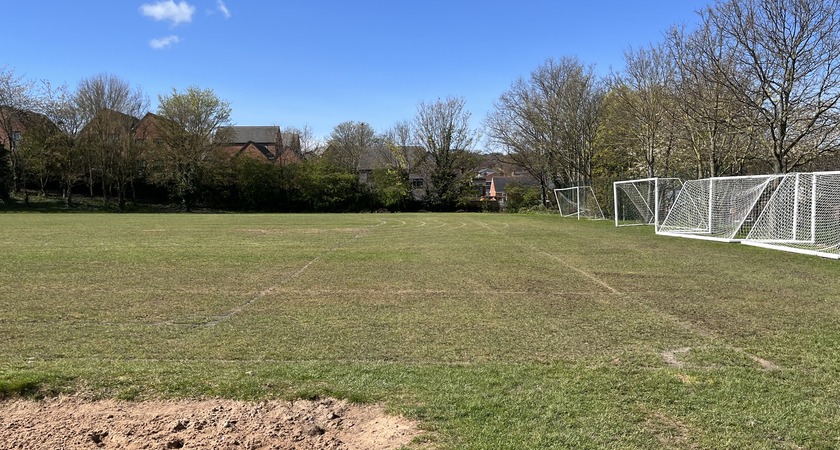 Grass - Football gallery image 0