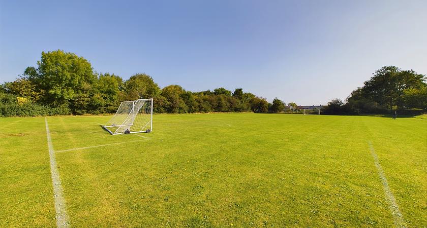Grass - Football Pitch 6 - standard FA size 9x9 gallery image 0