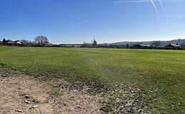 Photograph of Grass - Pitch - 2 (Full size 11 v 11), King Ecgbert School