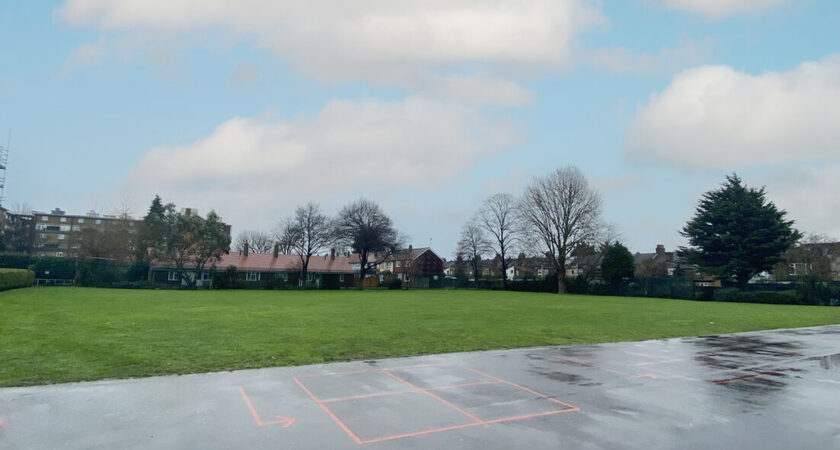 Grass - Playing Fields gallery image 0