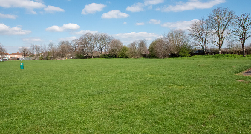 Grass - Field gallery image 0