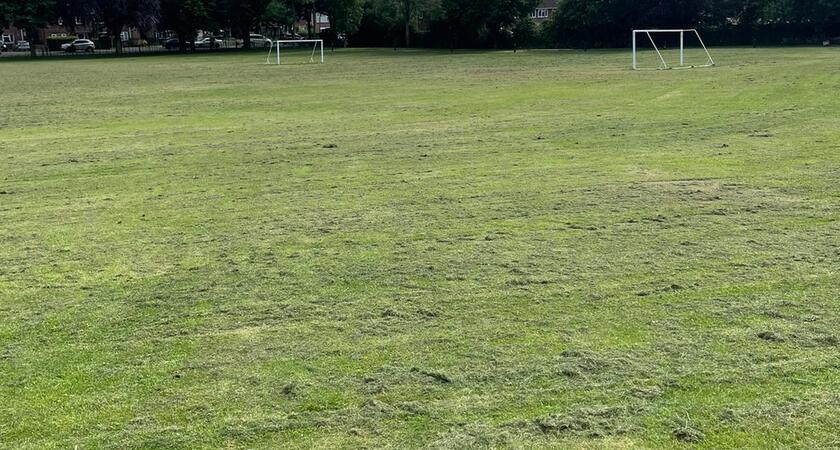 Grass Pitch 2 9v9 gallery image 1