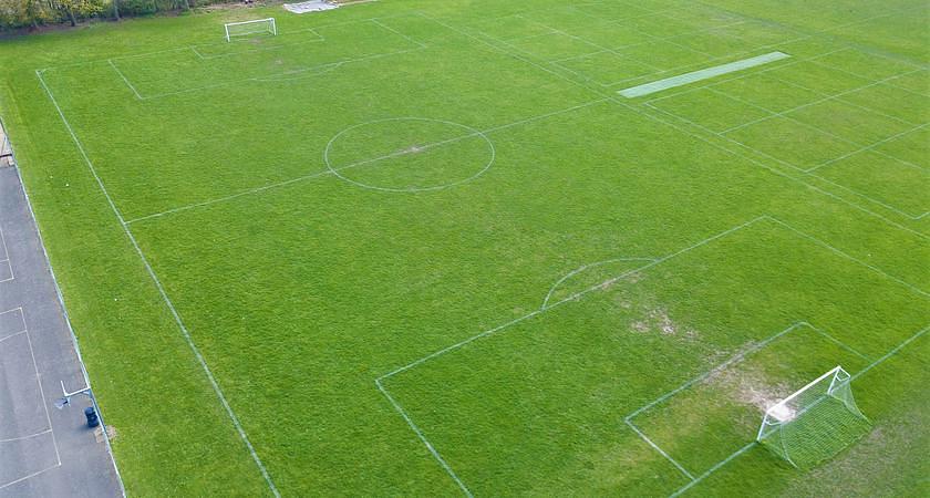 Grass Field gallery image 0