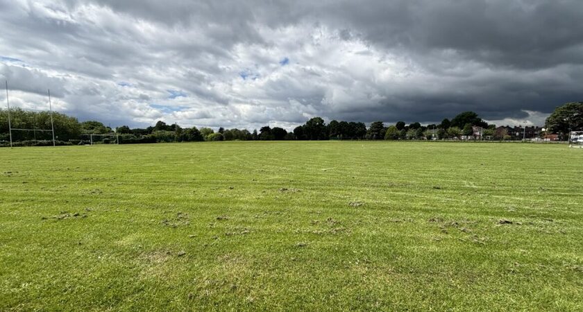 Grass - Rugby gallery image 0